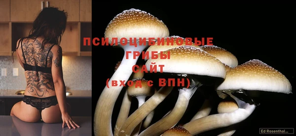 ALPHA-PVP Медвежьегорск