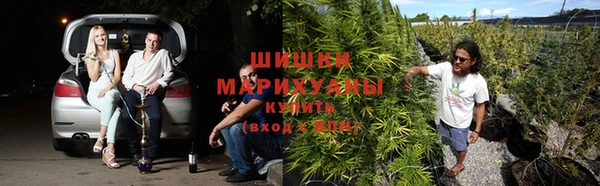 ALPHA-PVP Медвежьегорск
