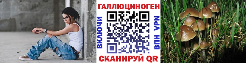 Купить закладки  Алексин  Псилоцибиновые грибы GOLDEN TEACHER 